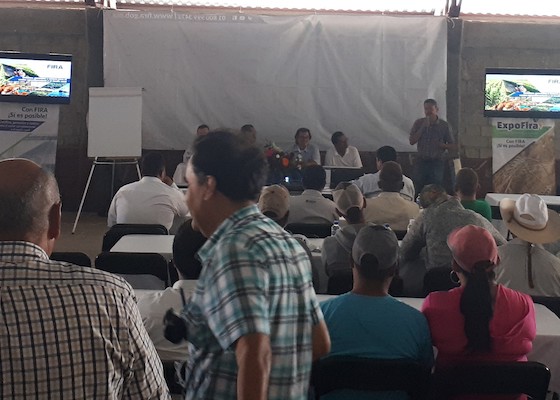 participacion en Ferias