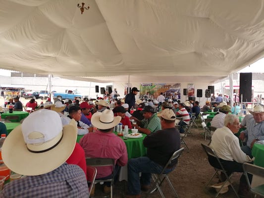 participacion en Ferias