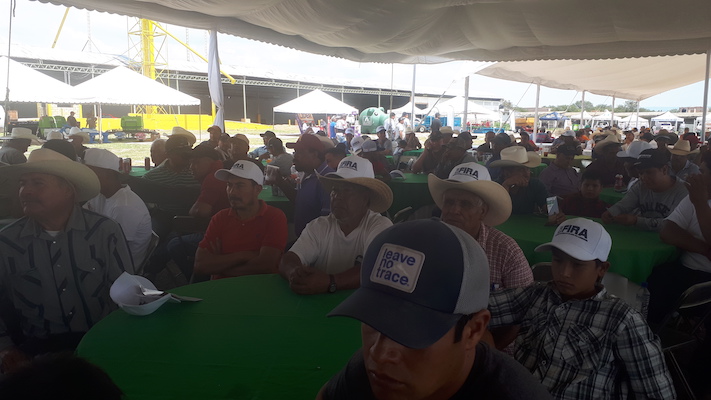 participacion en Ferias