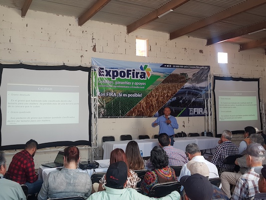 participacion en Ferias