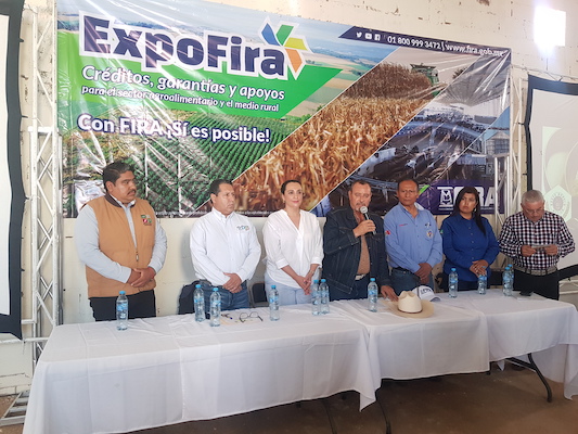 participacion en Ferias