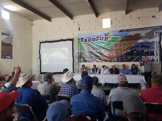 participacion en Ferias
