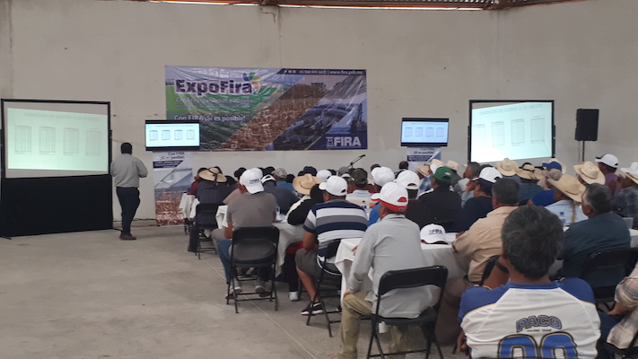 participacion en Ferias