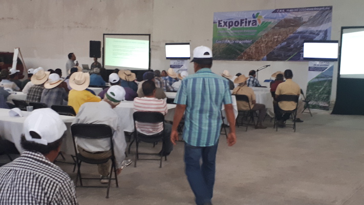participacion en Ferias