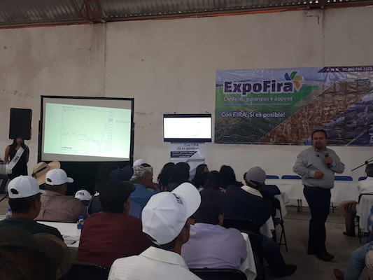 participacion en Ferias
