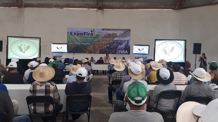 participacion en Ferias