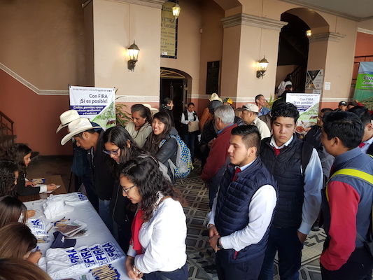 participacion en Ferias