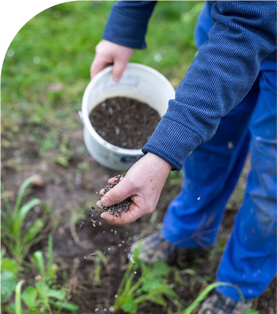 Fertilizantes y biofertilizantes