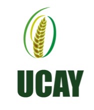 Logo Grupo Yaqui