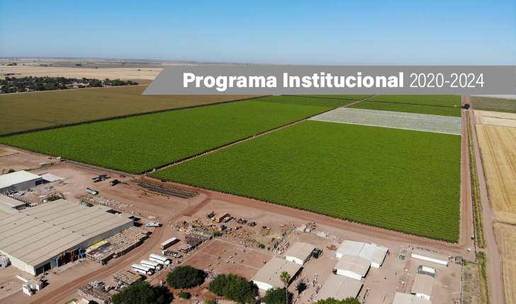 Crédito, garantías y apoyos para los sectores agropecuario, pesquero y rural. Con FIRA ¡Sí es posible!