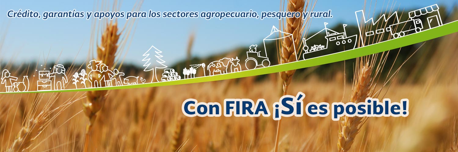 Crédito, garantías y apoyos para los sectores agropecuario, pesquero y rural. Con FIRA ¡Sí es posible!