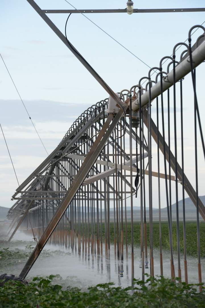 infraestrutura de riego sobre campo de algodón en chihuahua