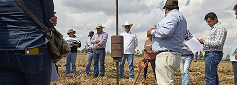 Campo demostrativo