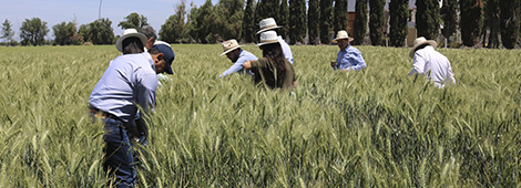 Laboratorio de análisis de suelo