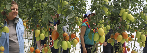 Laboratorio de análisis de suelo